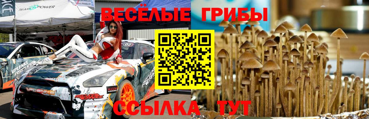 Галлюциногенные грибы мухоморы  Вход с VPN  Псилоцибиновые грибы Cubensis  Вятские Поляны 