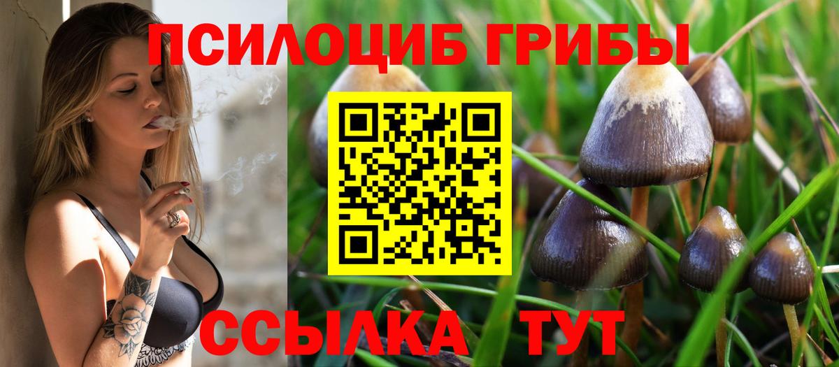Псилоцибиновые грибы MAGIC MUSHROOMS Вятские Поляны